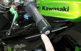 KAWASAKI NINJA 1000 2011