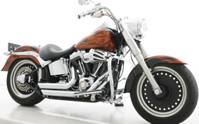 HARLEY FLSTF 2011 BX5