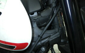 TRIUMPH TRIDENT 660 2021