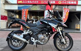 BENELLI Other N300