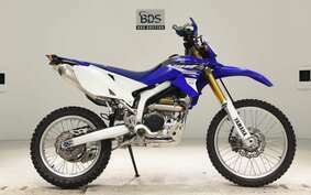 YAMAHA WR250R DG15J