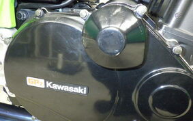 KAWASAKI GPZ900R NINJA 2001 ZX900A