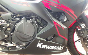 KAWASAKI Ninja 250 ABS EX250P