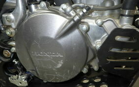 HONDA RTL260R 2023 RTL260FF