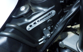 KAWASAKI NINJA 1000 SX 2020 ZXT02K