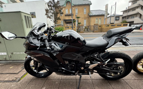 KAWASAKI NINJA ZX 25 R SE ZX250E