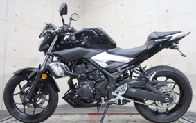 YAMAHA MT-25 RG10J