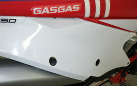 GASGAS EC 250