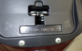 SUZUKI ADDRESS V125 Gen.2 DP12H