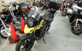 SUZUKI STROM 250 DS11A