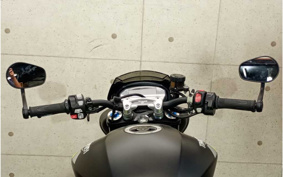 TRIUMPH SPEED TRIPLE RS 1988 TPN275