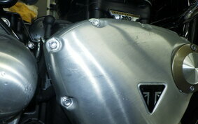 TRIUMPH SPEEDMASTER 2024