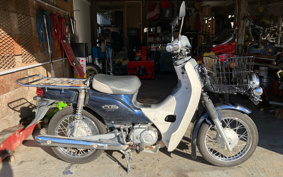 HONDA C50 SUPER CUB Pro AA04