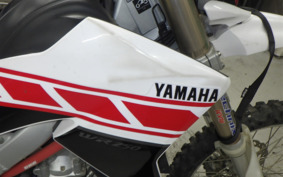 YAMAHA WR250R DG15J