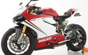 DUCATI 1199パニガーレSトリコ 2012 14BPW