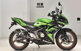 KAWASAKI NINJA150RR KR150P