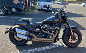 HARLEY FXFBS 2019 YYK