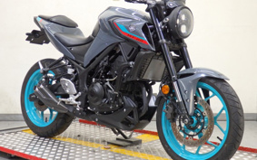 YAMAHA MT-25 RG74J