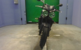 TRIUMPH SPEED TRIPLE 2009 E5865R