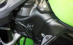 KAWASAKI NINJA ZX-6R A 2021 ZX636G