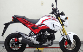 HONDA GROM JC75