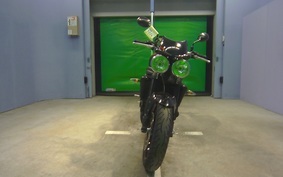 TRIUMPH SPEED TRIPLE 2009 E5865R