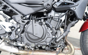 KAWASAKI Z250ABS EX250P