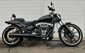 HARLEY FXBRS 2020 YHK