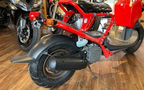 HONDA ZOOMER AF58