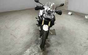 TRIUMPH TIGER 800 2011 RE10B8