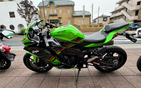 KAWASAKI Ninja ZX-4RR KRT ED 2023 ZX400P