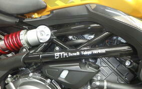 BENELLI TNT249S