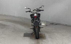 KTM 250 DUKE JGE