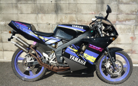 YAMAHA TZR50R Cell 4EU