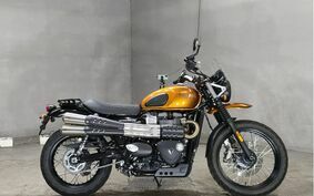 TRIUMPH STREET SCRAMBLER 2020 DAD78