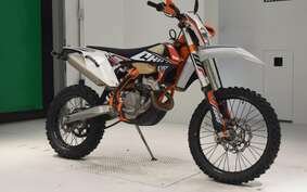 KTM 250 EXC F SIXDAYS EXA40