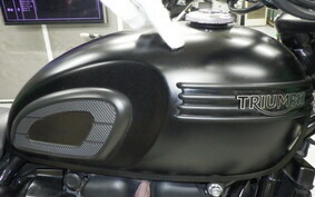 TRIUMPH BONNEVILLE T100 2019 AD70GD