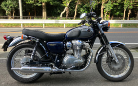 KAWASAKI W800 2014 EJ800A