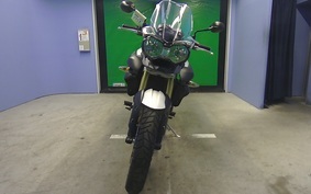 TRIUMPH TIGER 800 RE15B8