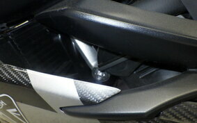 TRIUMPH DAYTONA 765 2020