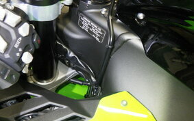 KAWASAKI ZX 10 NINJA ABS 2024 ZXT02L