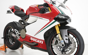 DUCATI 1199パニガーレSトリコ 2012 14BPW