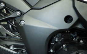 KAWASAKI NINJA 1000 SX 2024 ZXT02K