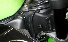 KAWASAKI NINJA ZX-6R A 2021 ZX636G