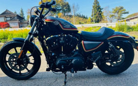 HARLEY XL1200NS 2018 LP3