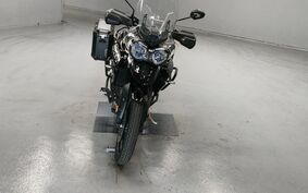 TRIUMPH TIGER 800 2019 RE20B8