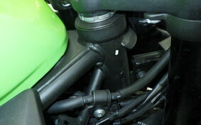 KAWASAKI ZX-4RR 2023 ZX400P