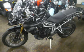 TRIUMPH TIGER 800 2011 RE10B8