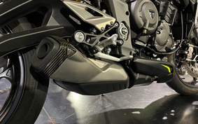 TRIUMPH STREET TRIPLE RS 2021 HDA554