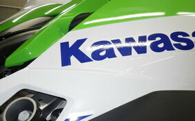 KAWASAKI ZX-4RR 2024 ZX400P